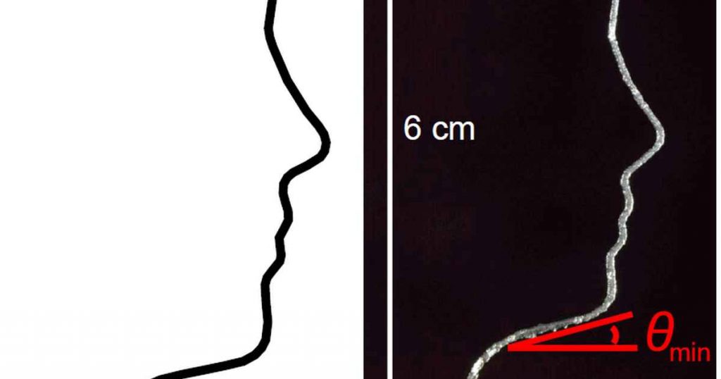 face